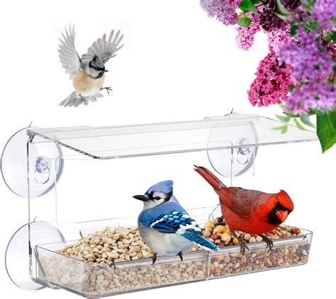 Amazon Window Bird Feeders With Strong Suction Cups Adjustable