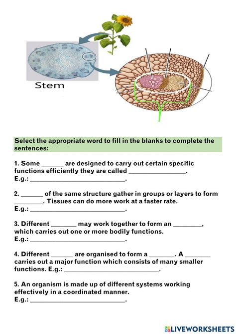 1847400 Cells Tissues Organs Asma Begum