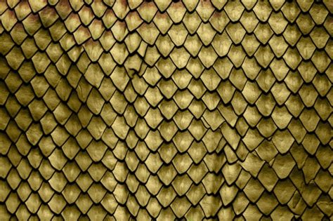 Premium Photo Dragon Skin Scales Texture