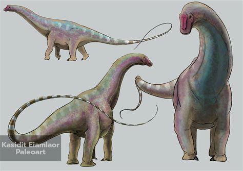 Apatosaurus Ajax Sketch By Kendiplo On Deviantart