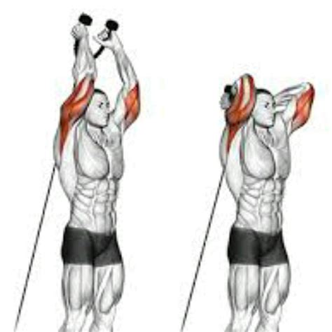 Rope Tricep Overhead Extension By Martel Berry Exercise How To Skimble