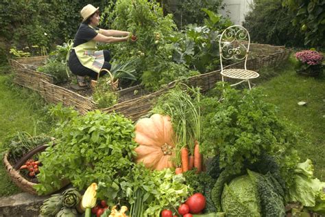 Les Jardins Collectifs De Marseille Fleurissent Comme Des Champignons