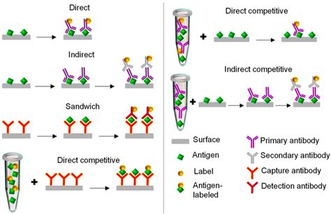 Various Modes Of Bioassays Employed In The Development Of Download Scientific Diagram