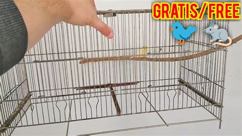 GRATIS TRAMPA CASERA para capturar PÁJAROS y RATAS YouTube