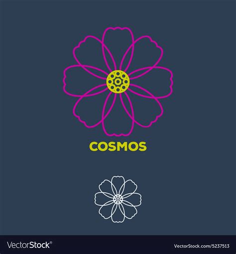 Cosmos Royalty Free Vector Image - VectorStock