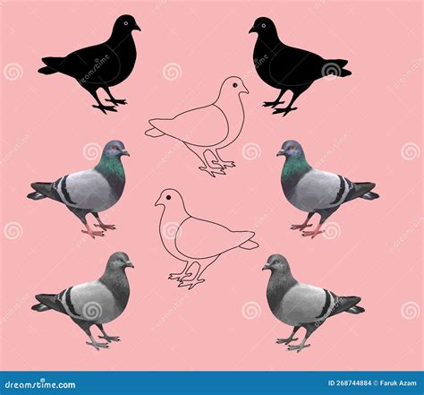 It Is A Pigeon Vector 1 Stock Vector Illustration Of Font 268744884