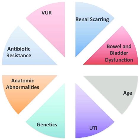 Pie Graph Representing Risk Factors For Acute Pyelonephritis As Shown Download Scientific