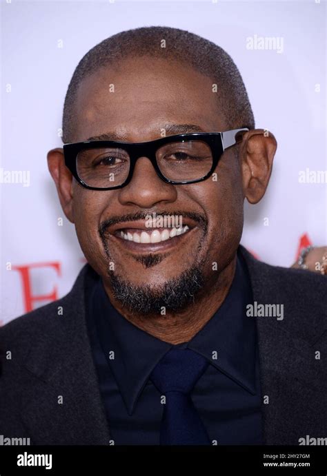 Forest Whitaker Fotos Und Bildmaterial In Hoher Auflösung Alamy