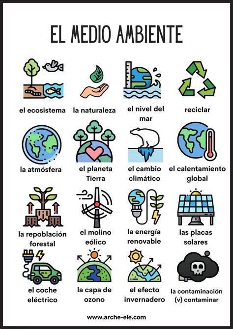 EL MEDIO AMBIENTE VOCABULARIO Arche ELE Vocabulario español