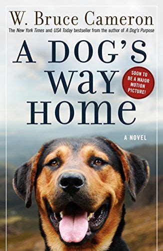 See the 'A Dog's Way Home' Emotional First Trailer