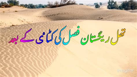 Golden Sand Of Thal Desert Pakistan Hidden Life Of Thal Desert