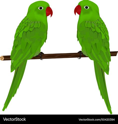 Parrot design Royalty Free Vector Image - VectorStock