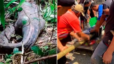 Indonesia Mujer Es Encontrada En El Est Mago De Una Pit N