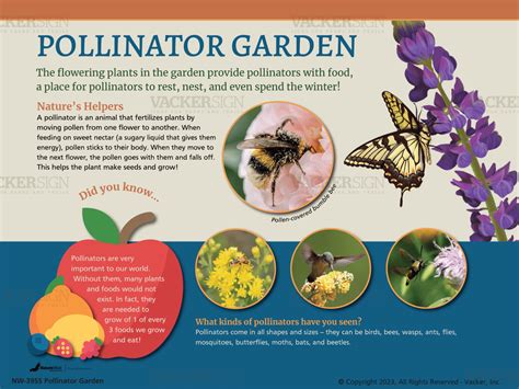 Designed Nature Signs Vacker Sign