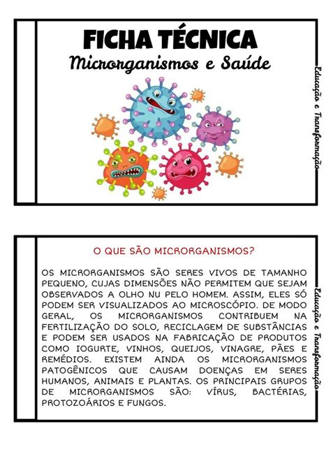 Blog Educação e Transformação Ficha Técnica microrganismos e saúde