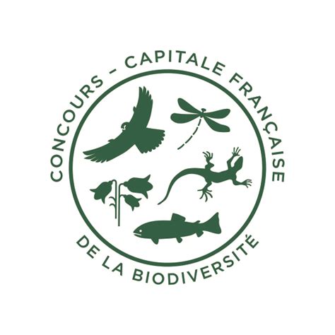 Ouverture Des Candidatures Pour Le Concours Capitales Fran Aises De La