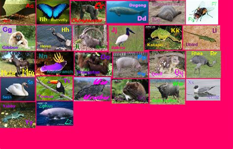 Pink Animal Alphabet 3 by davinay on DeviantArt