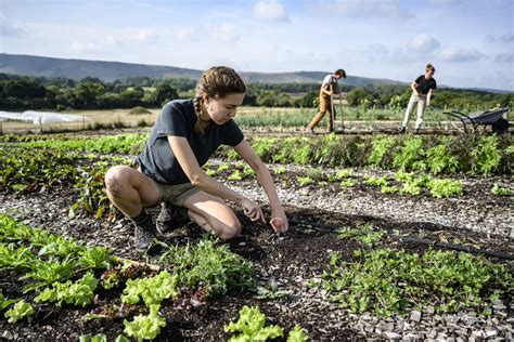 Ep A Agricultura Regenerativa E A Sa De Do Solo