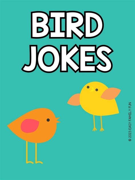 Funny Bird Jokes For Kids