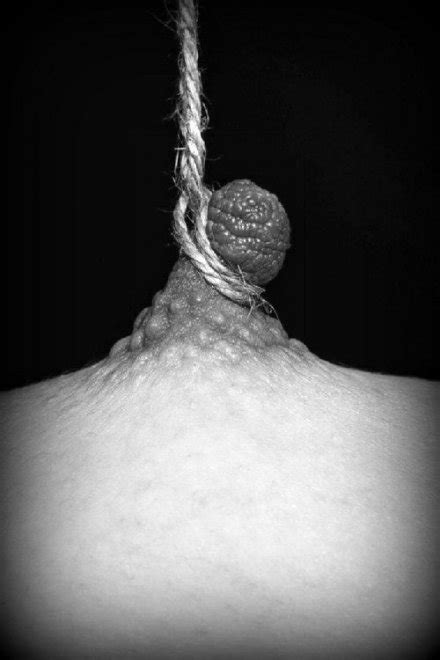 She Did Not Go Porn Pic