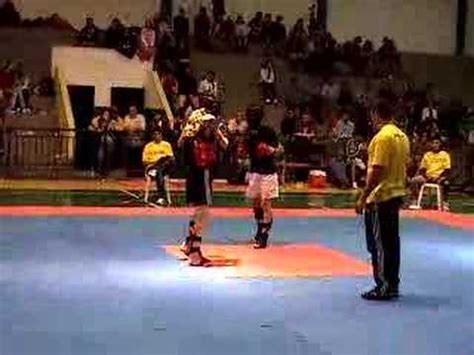 Lucas Sorin Punhos Sagrados Gomes Sanshou Team Youtube