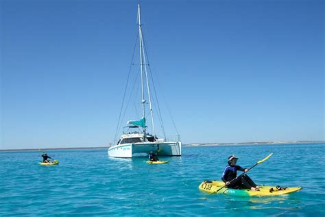 2023 3 Night Ningaloo Reef Snorkel And Dive Getaway From Coral Bay