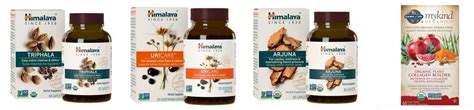 explore  power  natural herbs  remedies home experts blogger