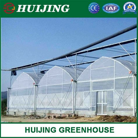 Agricultural Multi Span Tunnel Plastic Film Greenhouse For Vegetables