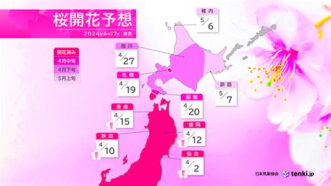 2024年桜開花満開予想（第9回） 桜開花前線は北海道に上陸 札幌は19日開花か Jwaニュース 日本気象協会