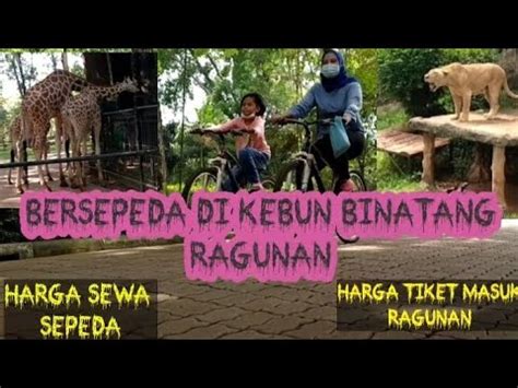 HARGA TIKET MASUK KEBUN BINATANG RAGUNAN HARGA SEWA SEPEDA YouTube