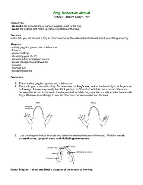 Frog Dissection