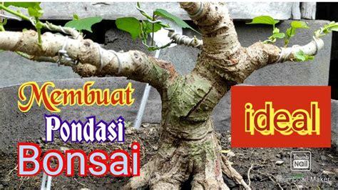 Cara Buat Pondasi Bonsai Biar Seimbang Dan Ideal