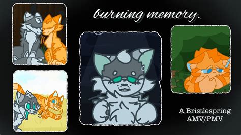 Burning Memory - Bristlefrost and Rootspring AMV/PMV - YouTube