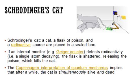 Schrodingers Cat Experiment