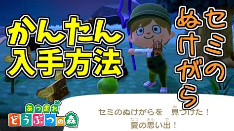 【あつ森】セミのぬけがらが簡単に入手できる方法を紹介します【あつまれどうぶつの森】 Youtube