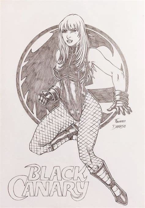 Birds of Prey - Black Canary - Catawiki