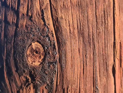 Kayu Tekstur Bahan Foto Gratis Di Pixabay Pixabay