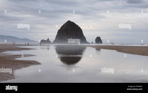 Haystack Rock reflected in the tide pools of Cannon Beach, Oregon at extreme low tide on a ...