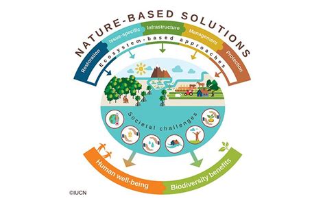 Soluciones Basadas En La Naturaleza Agua Org Mx