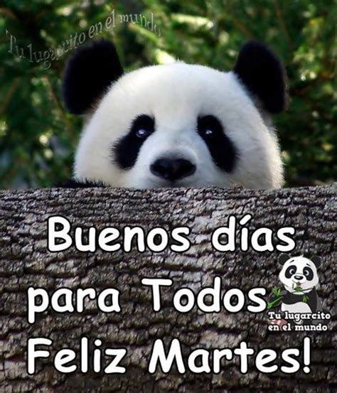 Feliz Martes Hermosas Im Genes Bonitasimagenes Net