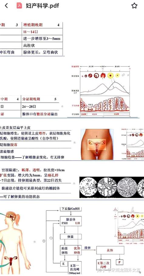 九版『妇产科学思维导图』pdf分享 知乎