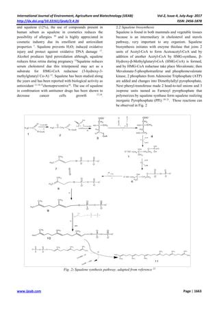 Squalene Extraction: Biological Sources and Extraction Methods | PDF