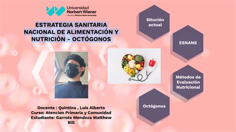 Estrategia Sanitaria Nacional De AlimentaciÓn Y NutriciÓn OctÓgonos By Matthew Bill Garrote