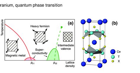 Color Online A Schematic Phase Diagram Near Quantum Phase