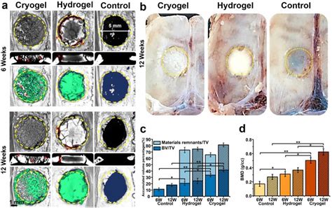 Evaluations On The Regeneration Of Rat Calvarial Bone Defects Implanted