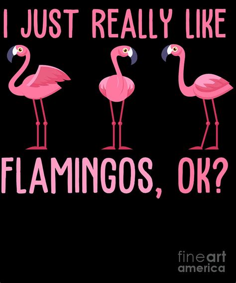 I Just Really Like Flamingos Digital Art By Eq Designs Fine Art America