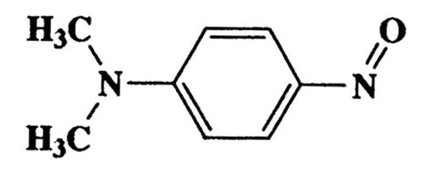 N N Dimethyl Nitrosobenzenamine