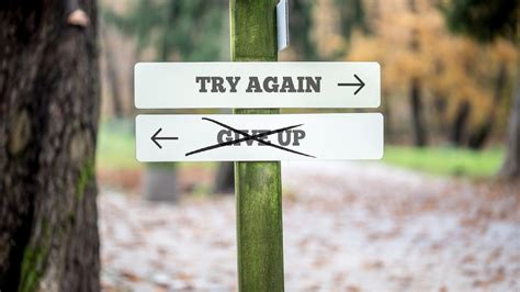 bisnis patut dicoba  meskipun  menunjukan hasil