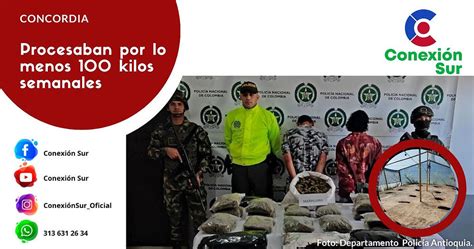 Capturados En Flagrancia Dos Hombres En Laboratorios De Marihuana