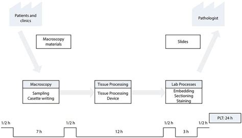 Current State Value Stream Map Value Stream Map Of The Pathology Unit Download Scientific